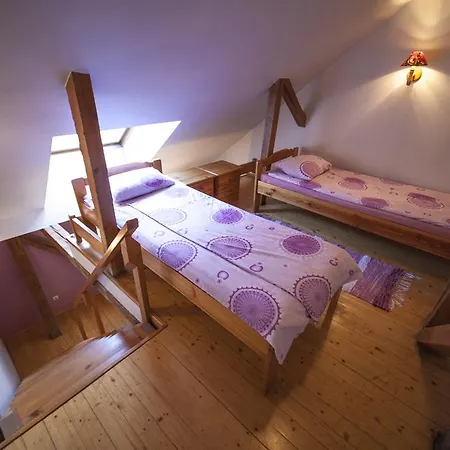 Casa de hóspedes Hortensia 3*