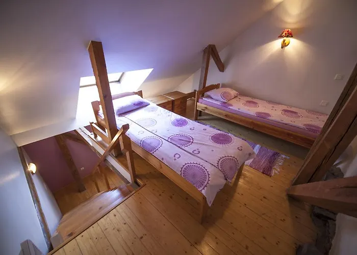 Guest house Hortensia 3*