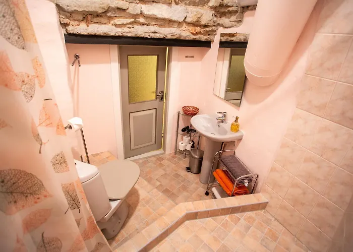 Guest house Hortensia 3*